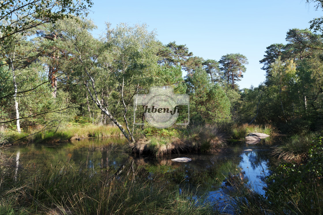 "Mare aux pigeons" stock image