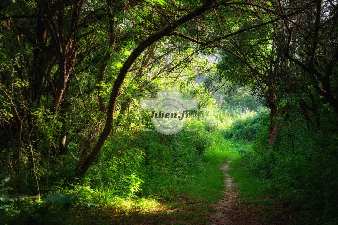 "Path on the Loire river bank" stock image