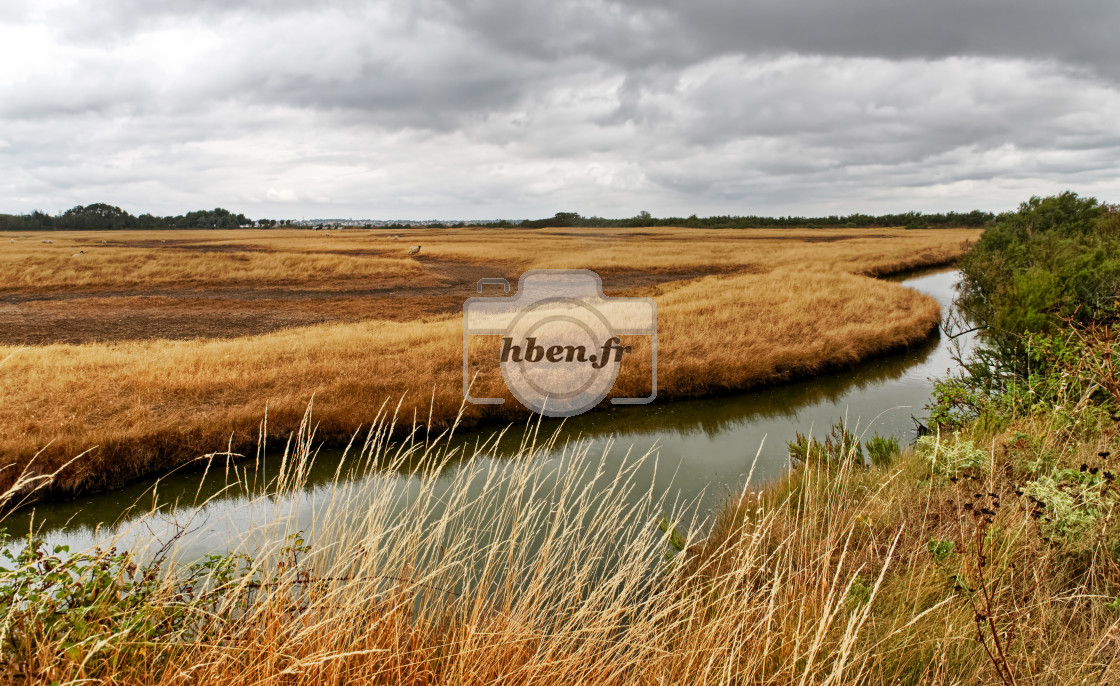 "Île Madame fields" stock image