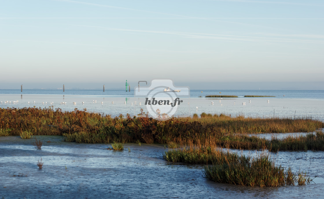 "Charente river estuary" stock image