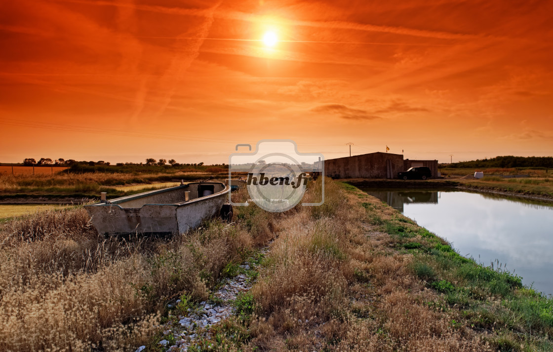 "Oyster farming" stock image