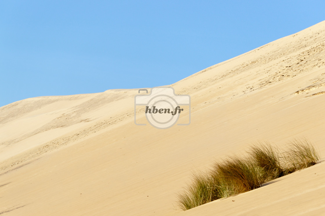 "Pilat dune" stock image