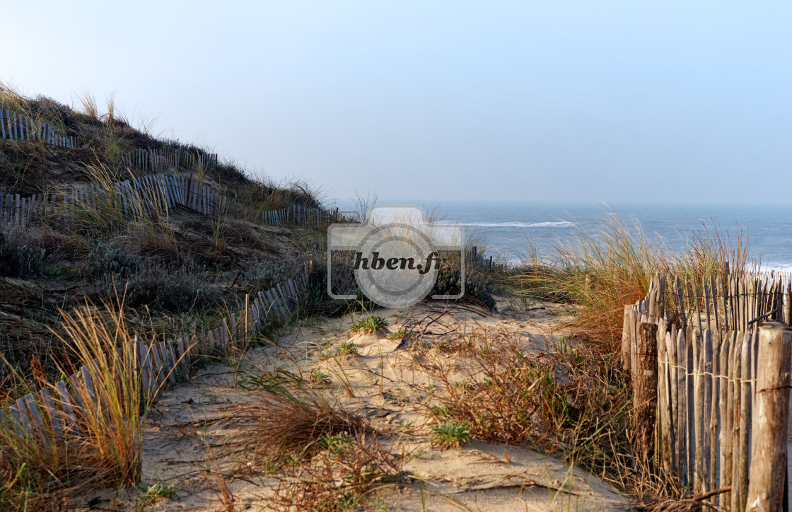 "Sand dunes" stock image