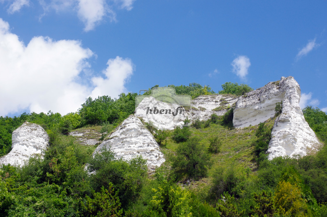 "Nature reserve" stock image