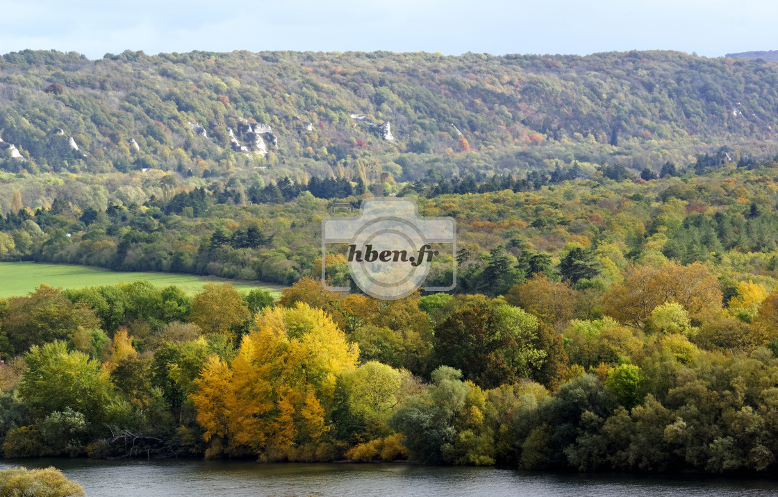 "Autumn foliage" stock image