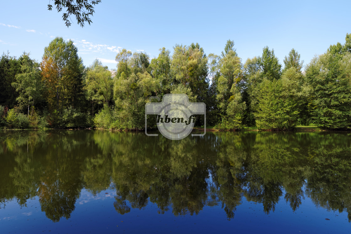 "Pond reflection" stock image