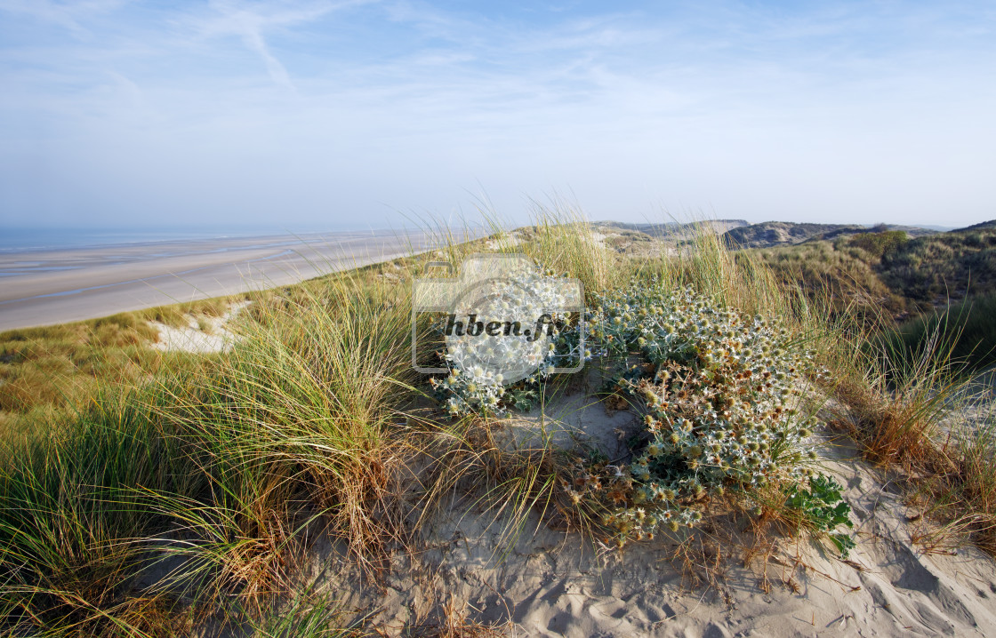 "Fort-Mahon-plage coast" stock image