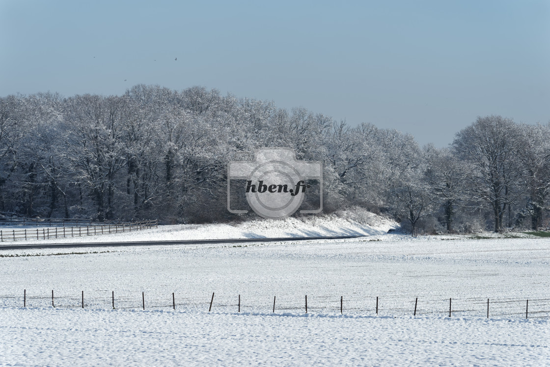 "Winter season" stock image