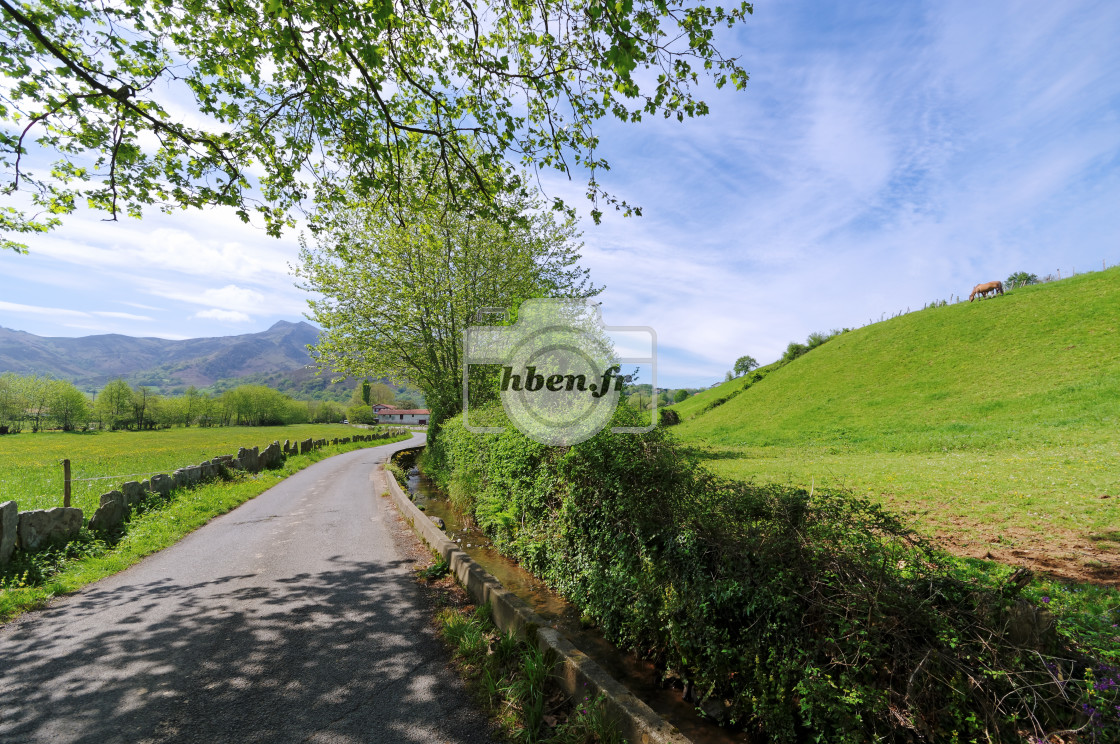 "country road in the Basque country" stock image