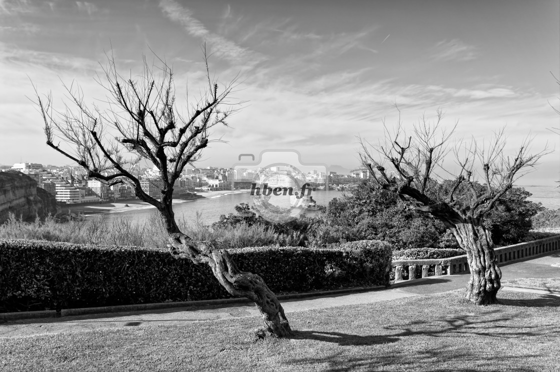 "Biarritz seaside" stock image