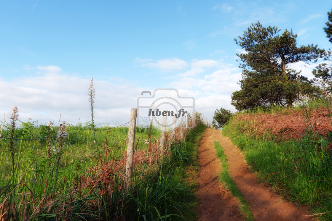 "Hiking path" stock image