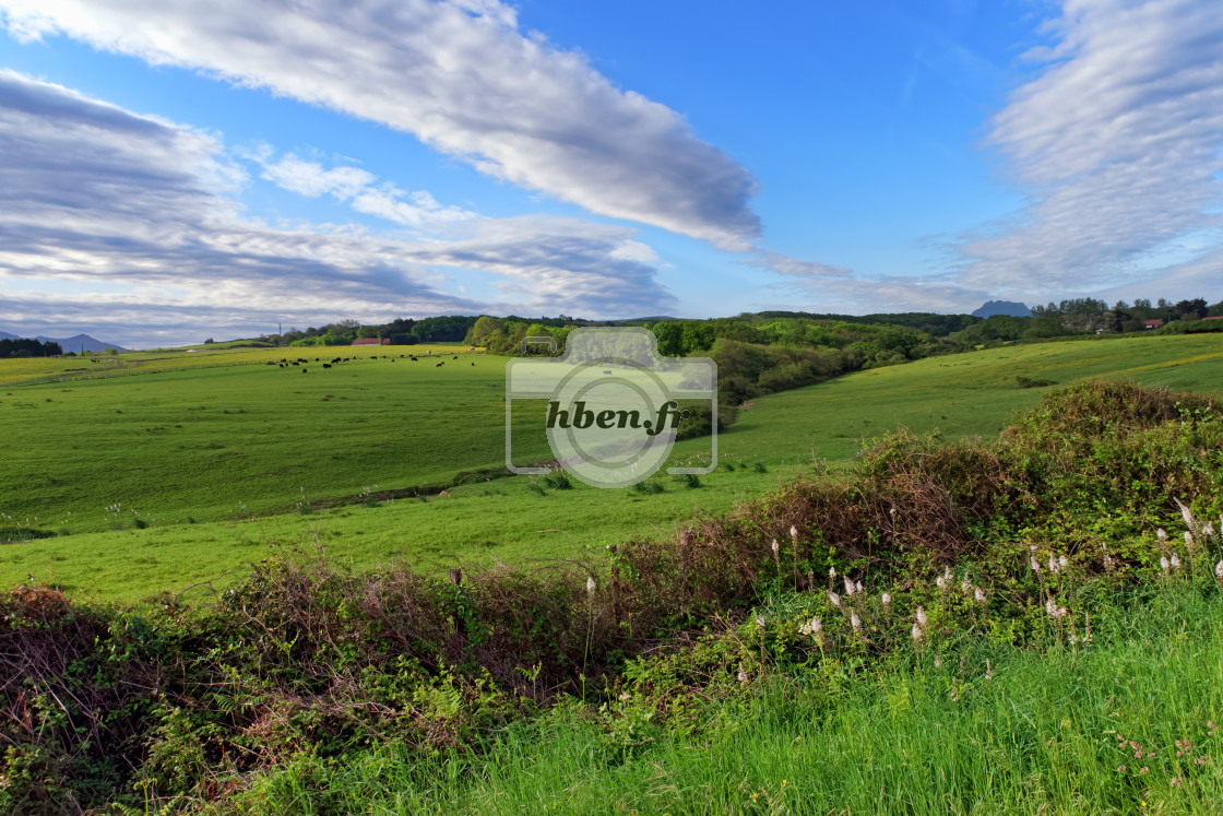 "Urrugne countryside" stock image