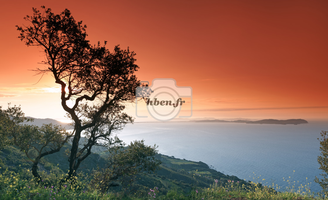 "Giens Peninsula" stock image