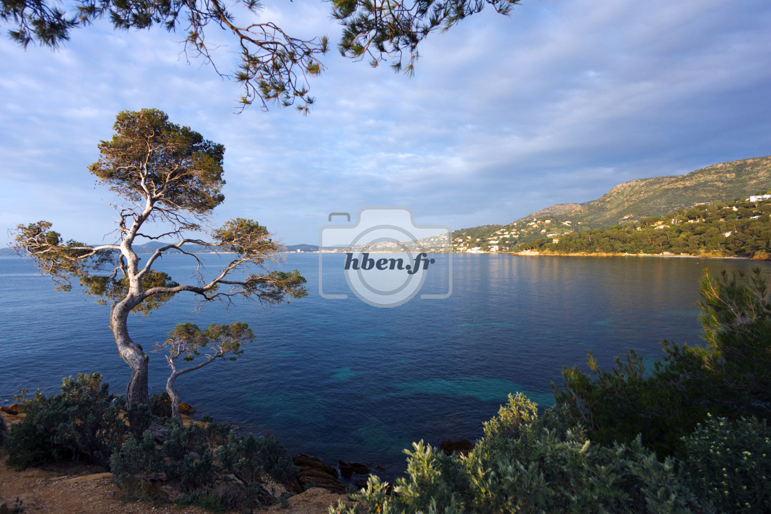 "Lavandou coast" stock image