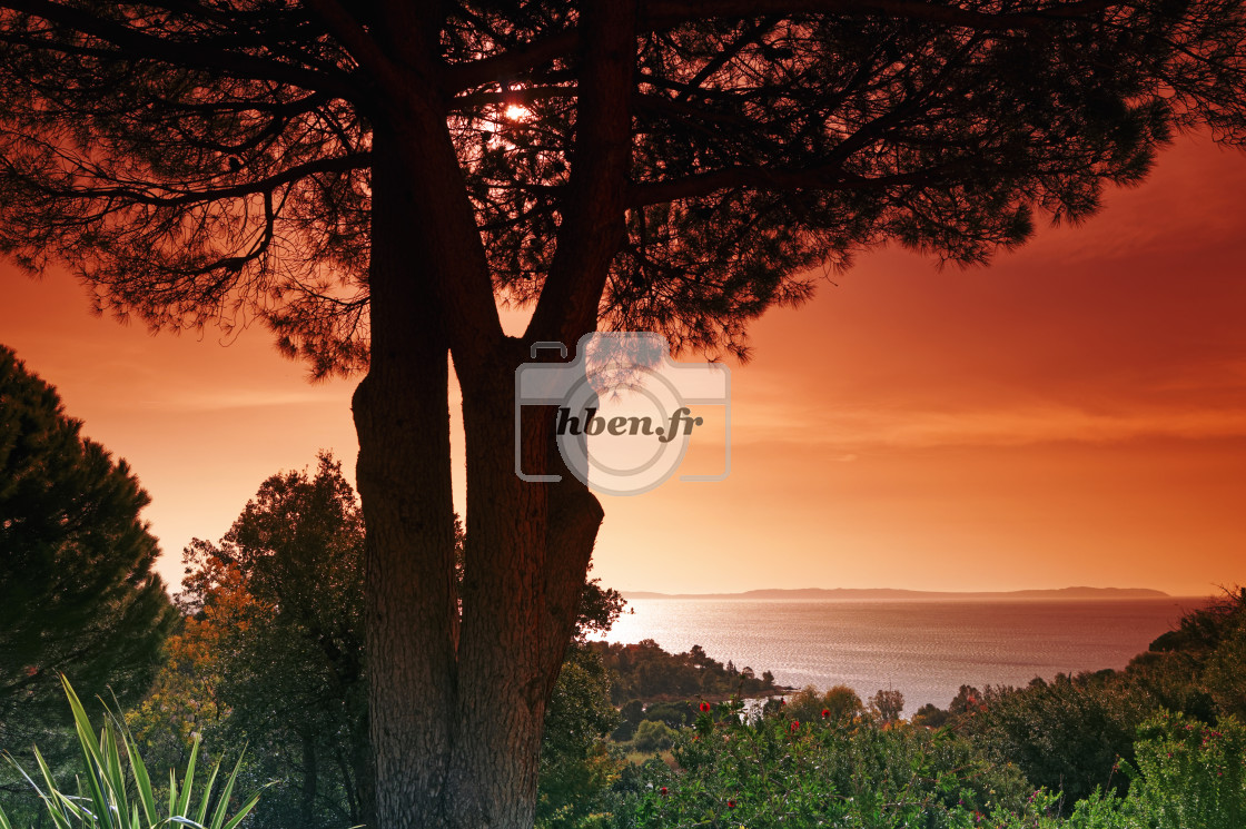 "French riviera sunrise" stock image