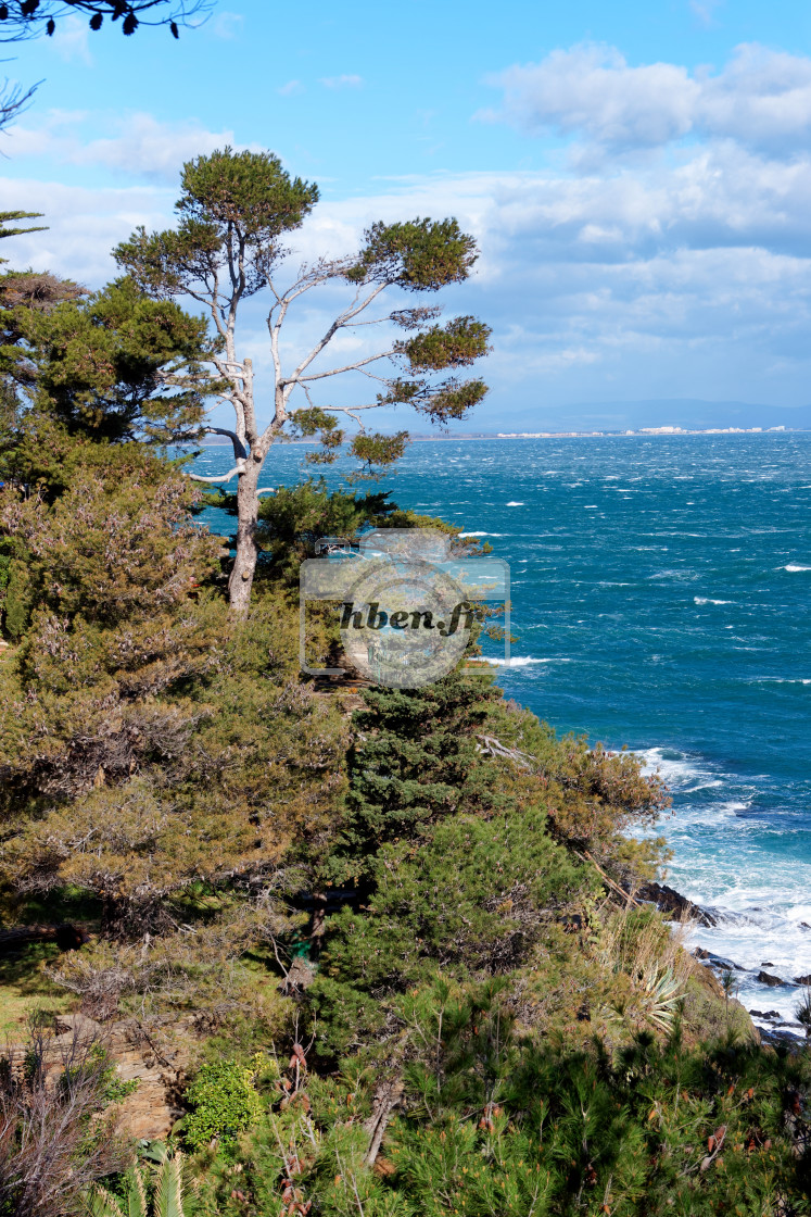 "Vermeille coast" stock image