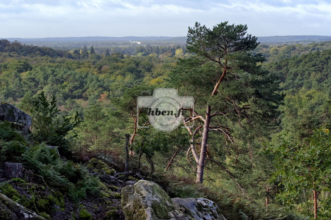 "Restant du Long Rocher" stock image