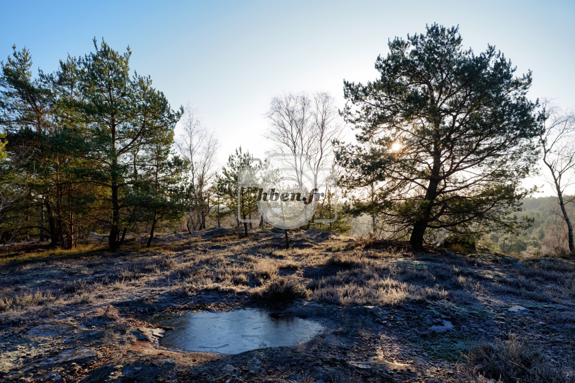 "Matin d'hiver" stock image