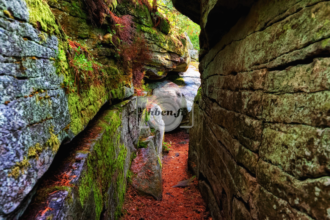 "Sentier bleu Denecourt 11" stock image