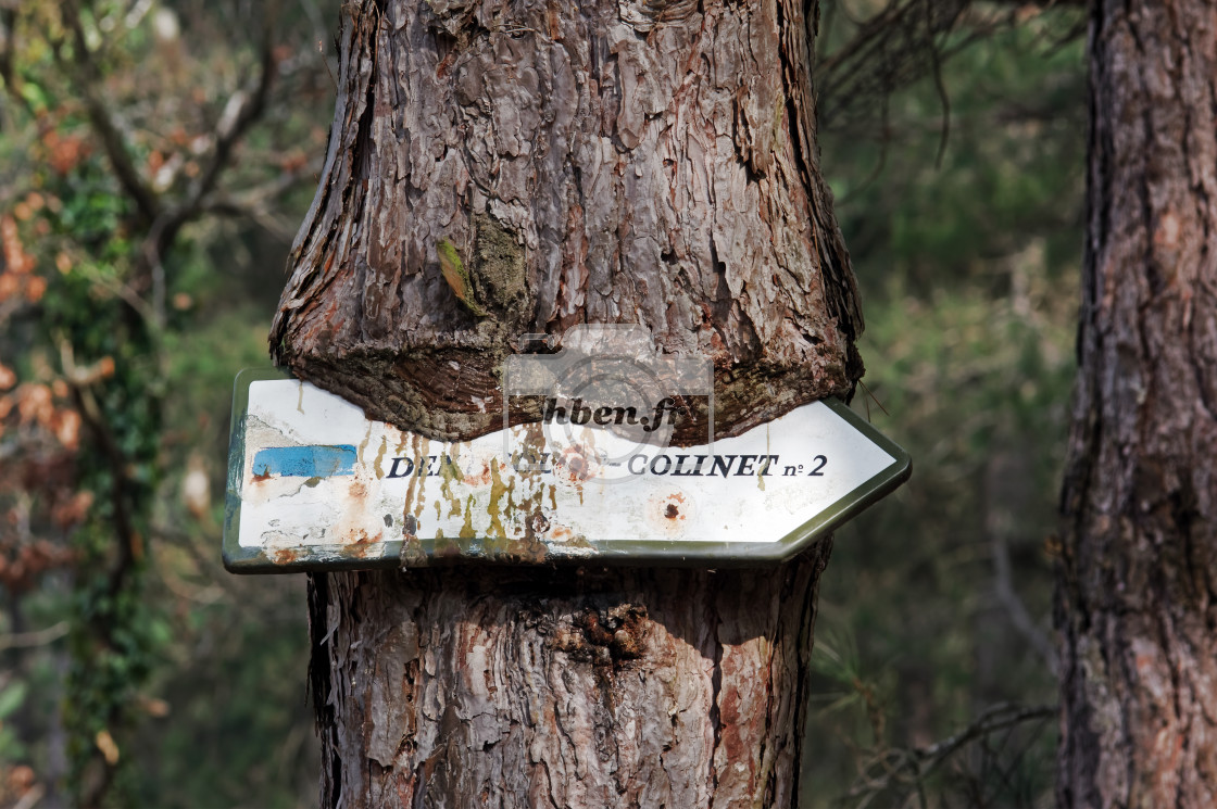 "Le Grand chemin" stock image