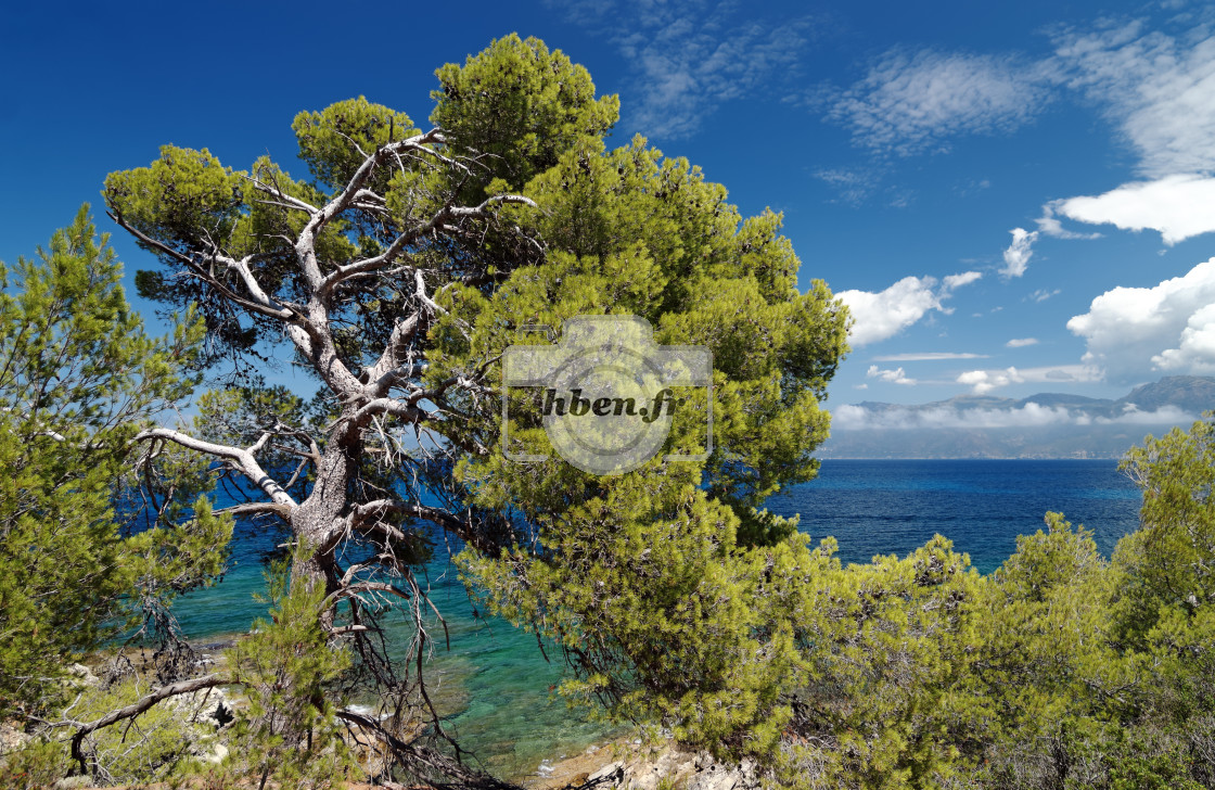 "Agriates coastal path" stock image