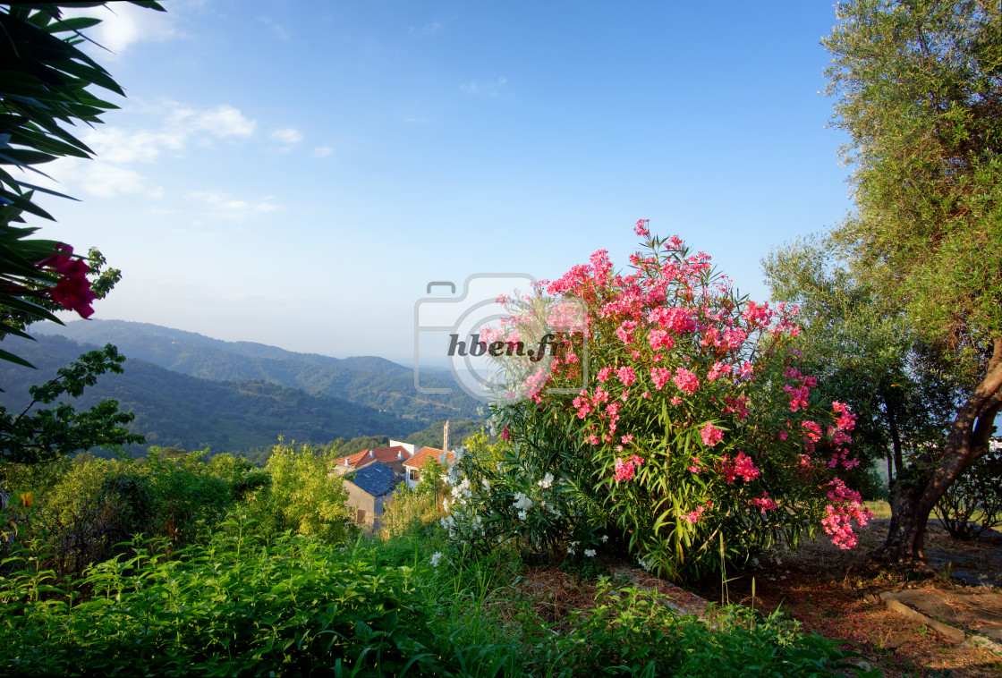 "Costa verde panorama" stock image