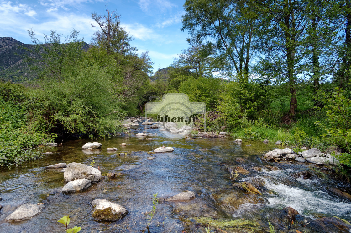 "Bucatoggio river" stock image