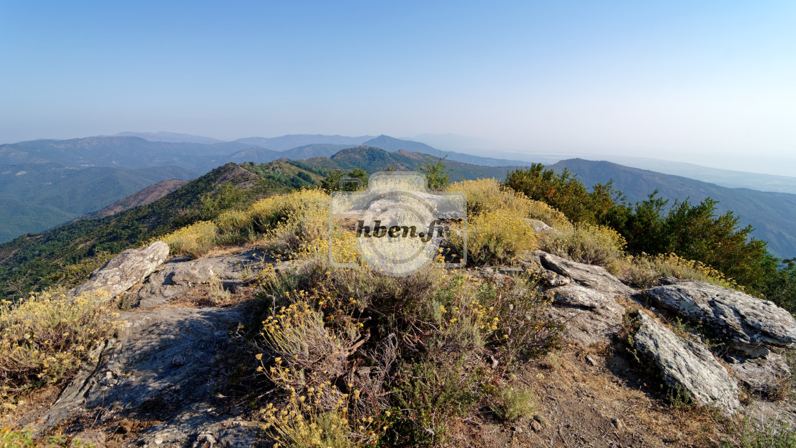 "Olmeli peak" stock image