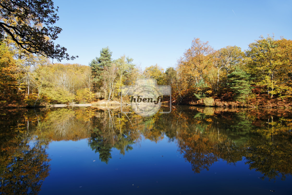 "Etang rompu" stock image