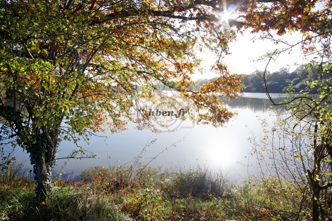 "Hollandes lake" stock image