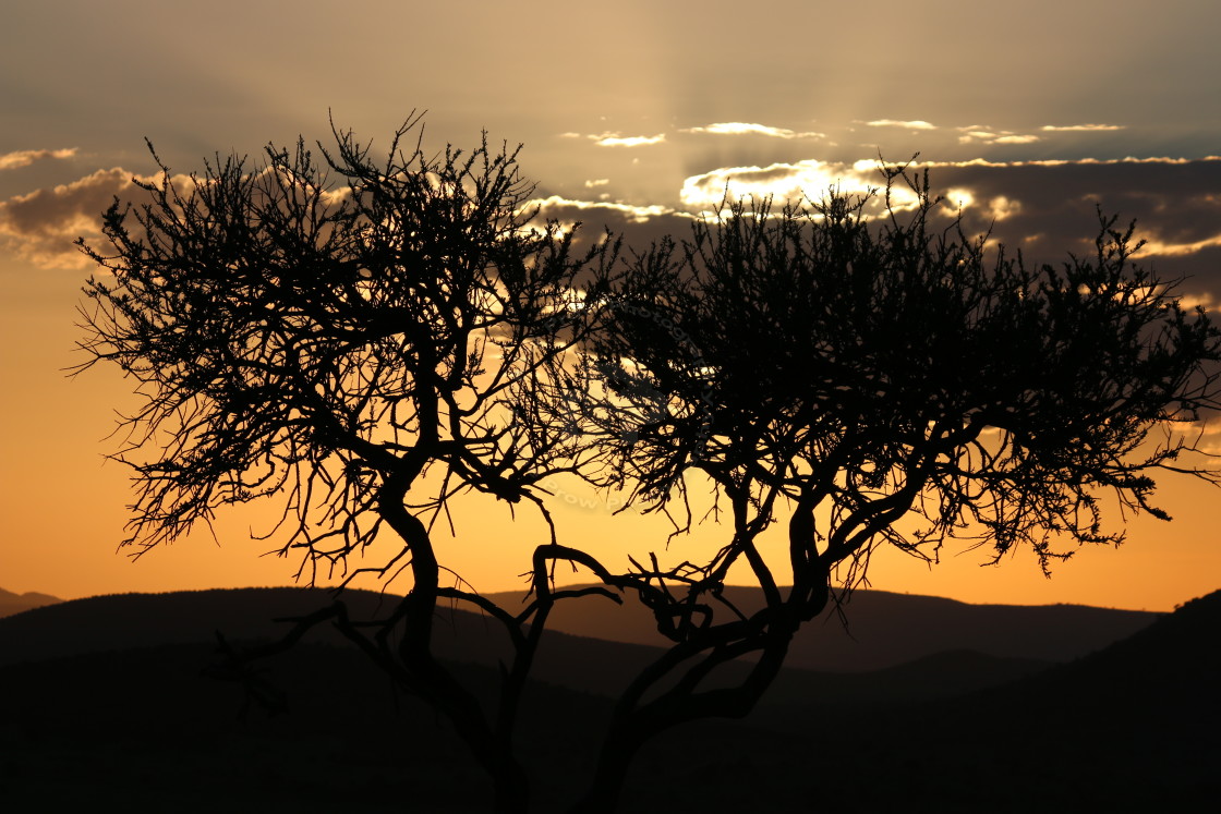 "African Sunset" stock image