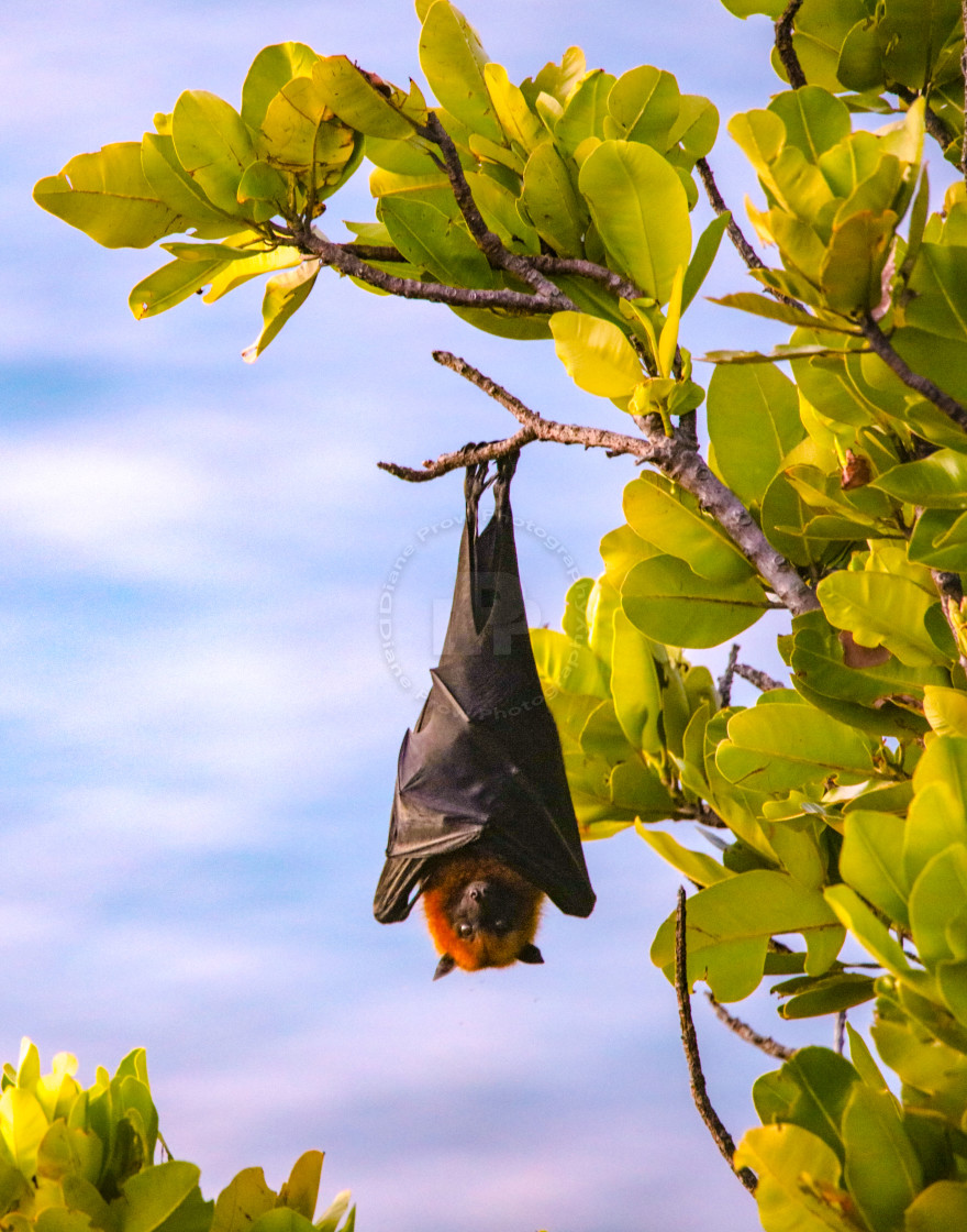 "Hanging Around" stock image