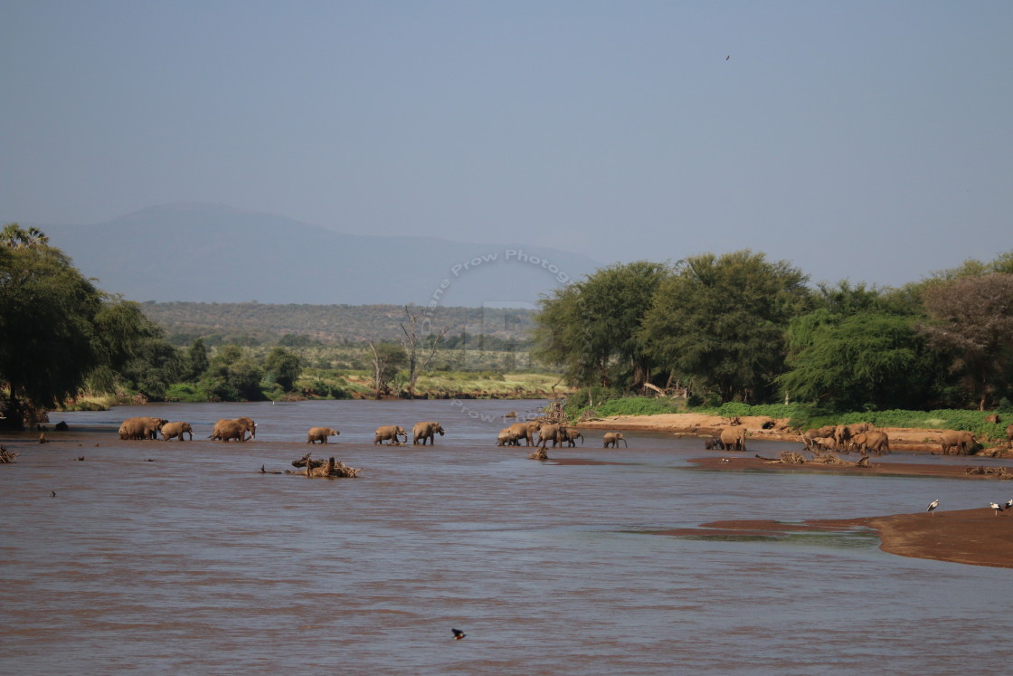 "Ewaso Nyiro River, Samburu National Reserve, Kenya" stock image