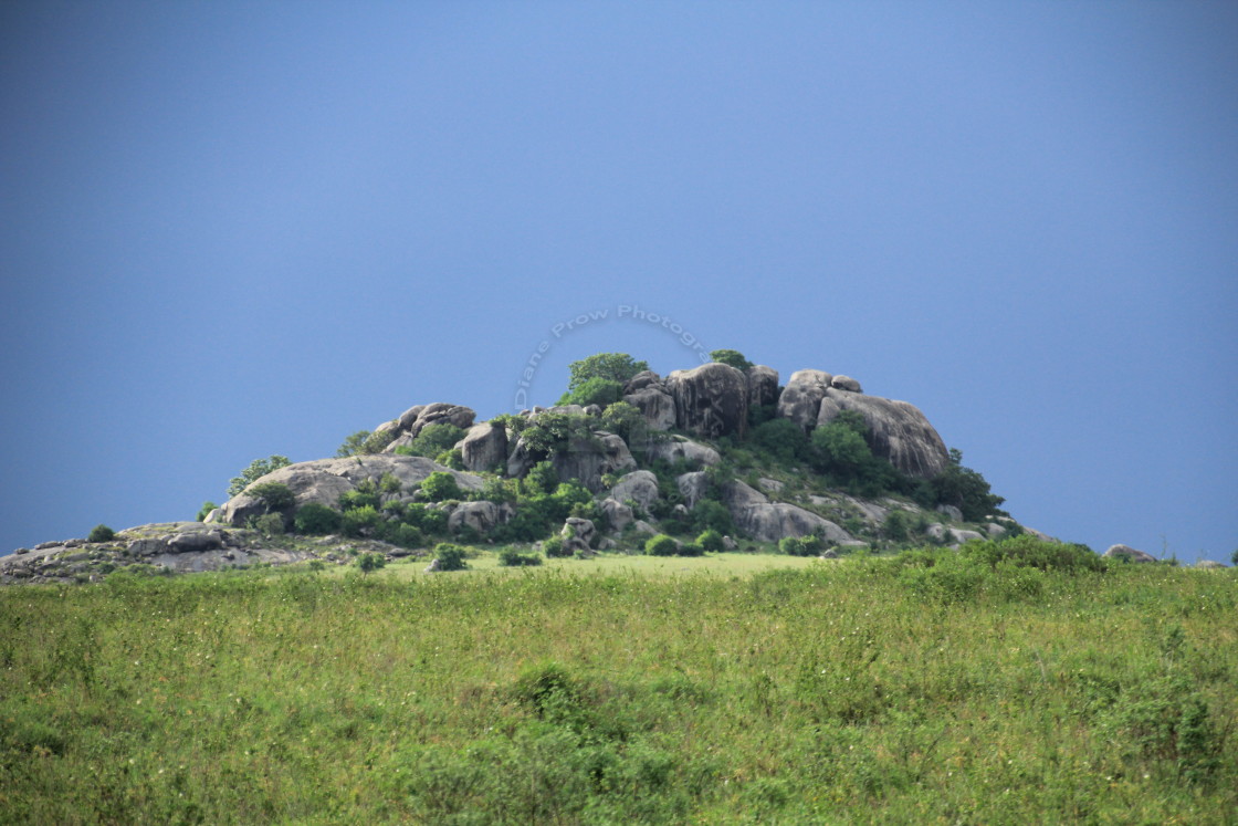 "The Serengeti Kopjes,Tanzania" stock image