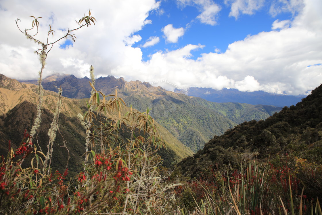 "Colourful Chaquicocha Valley" stock image