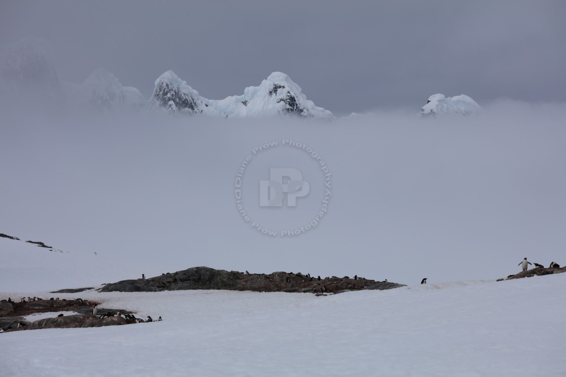 "Lost in the Clouds" stock image