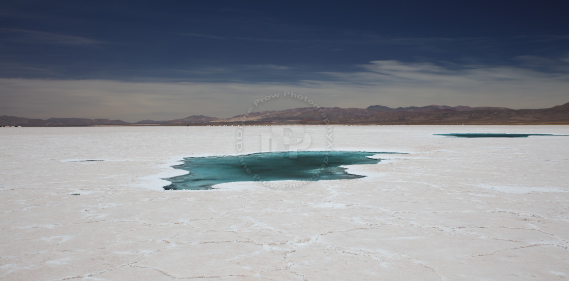 "Salt Oasis" stock image