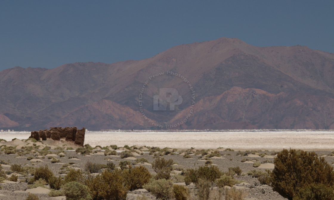 "Salty Mirage" stock image