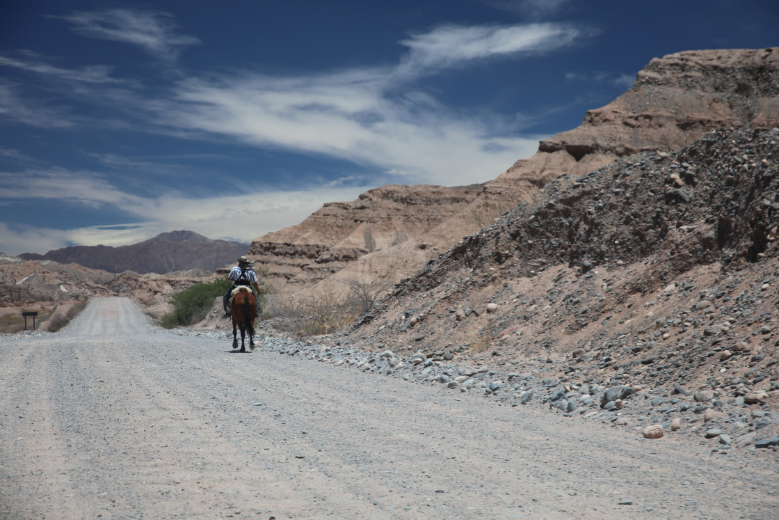 "Lone Gaucho" stock image