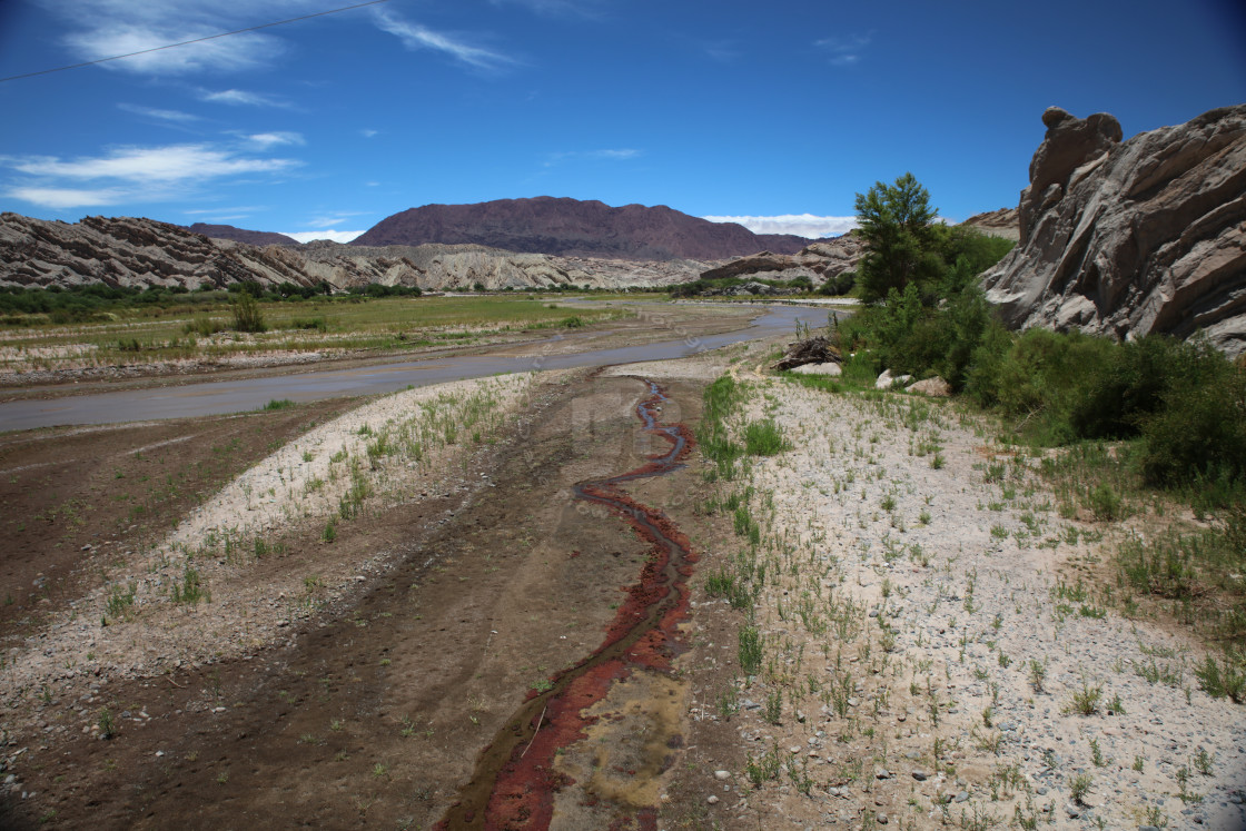 "River Vein" stock image