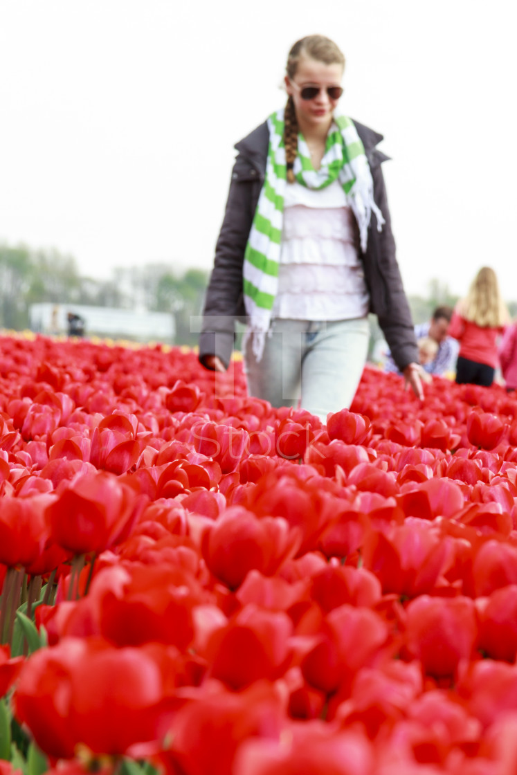 "Girl in red tulips" by TTStock - $7.54 "Girl in red tulips" stock image