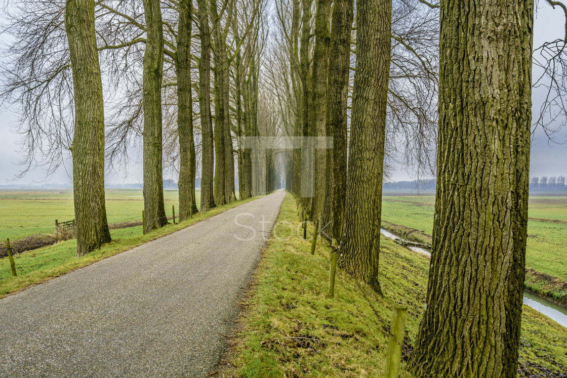 "Endless road seven" by TTStock - £14.99 "Endless road seven" stock image