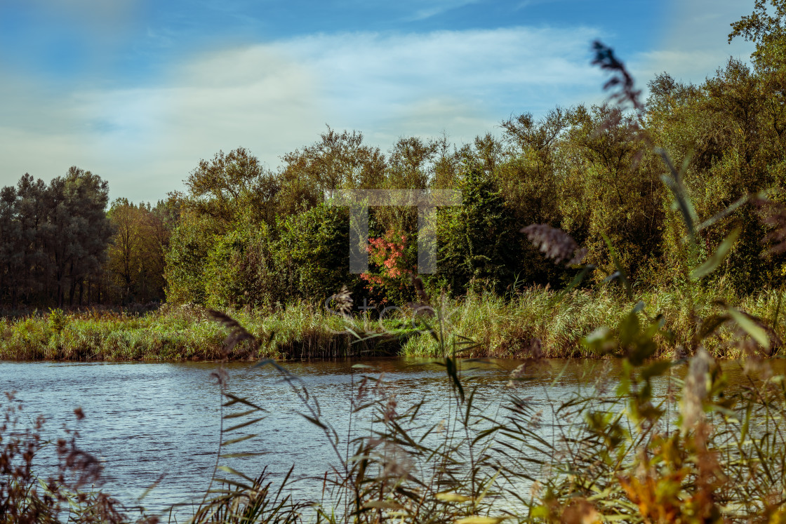 "Autumn trees on the edge of a crystal clear water" by TTStock - $7.54 "Autumn trees on the edge of a crystal clear water" stock image
