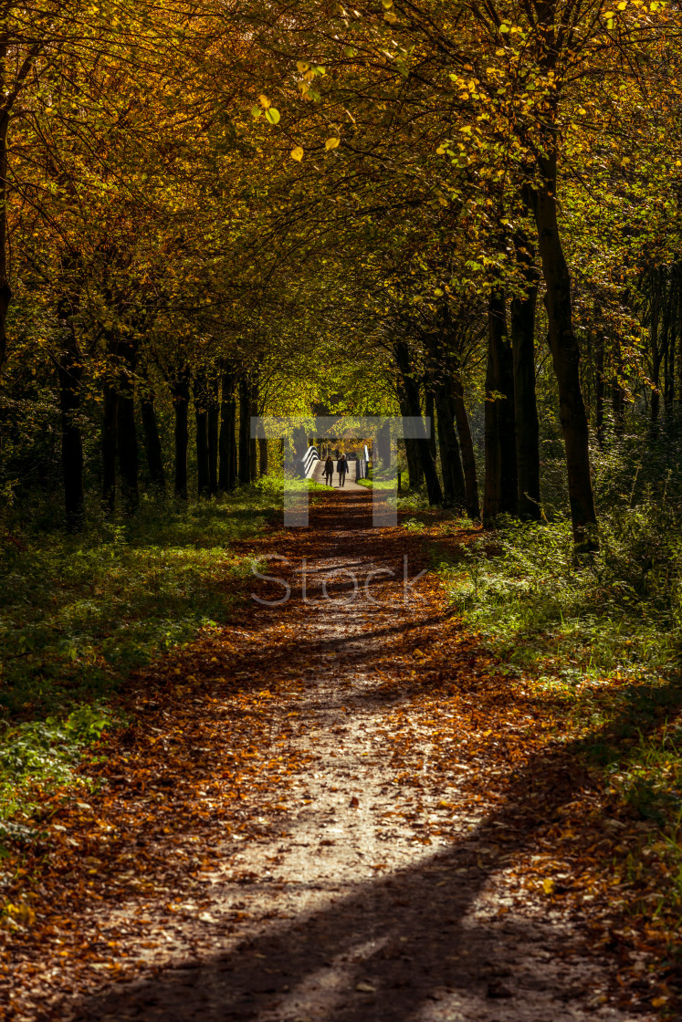 "Couple walking in autumn park" by TTStock - $7.54 "Couple walking in autumn park" stock image