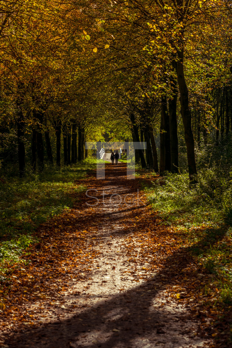 "Couple in autumn park, front view." by TTStock - $7.54 "Couple in autumn park, front view." stock image