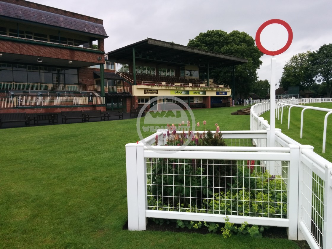 "Ripon Racecourse" stock image