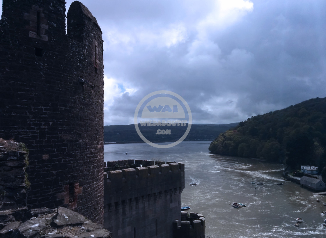 "Conwy Castle" stock image