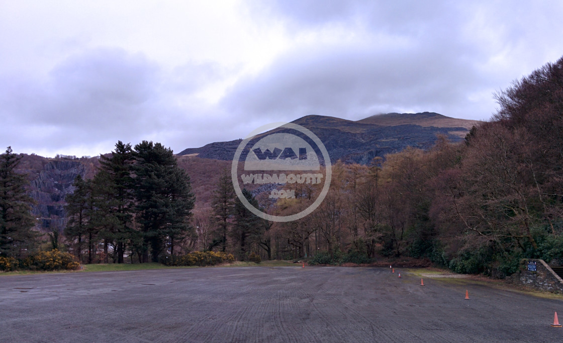 "Dinorwig Quarry" stock image