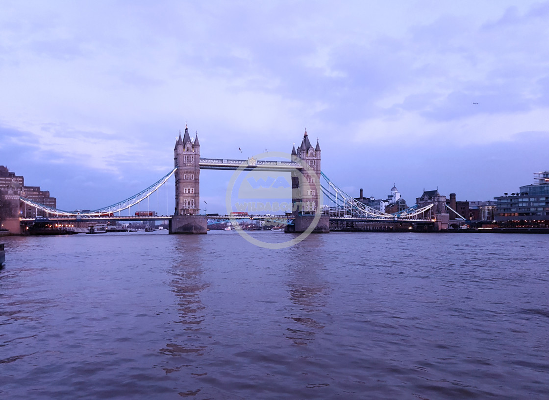 "Tower Bridge" stock image