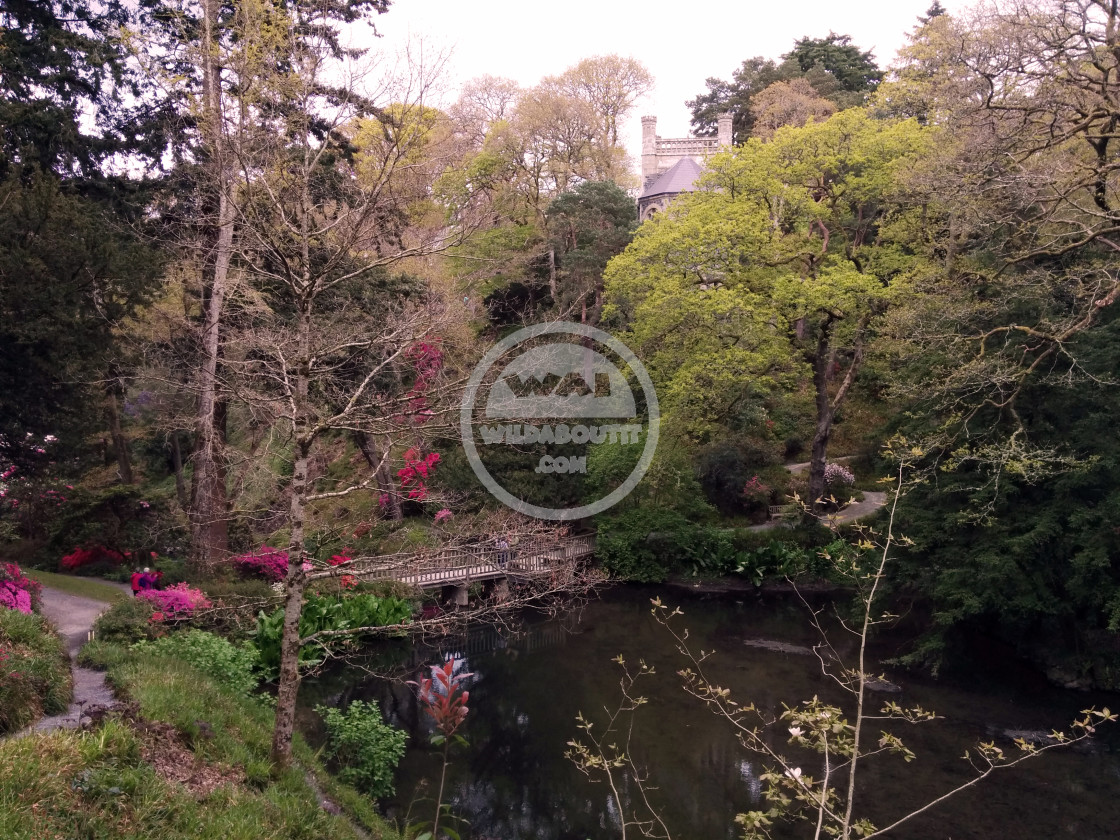 "Bodnant Garden" stock image